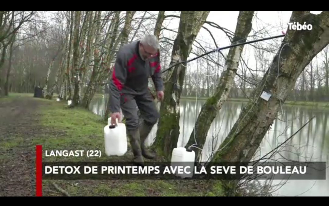 Le Domaine du Bûchon sur Tébéo