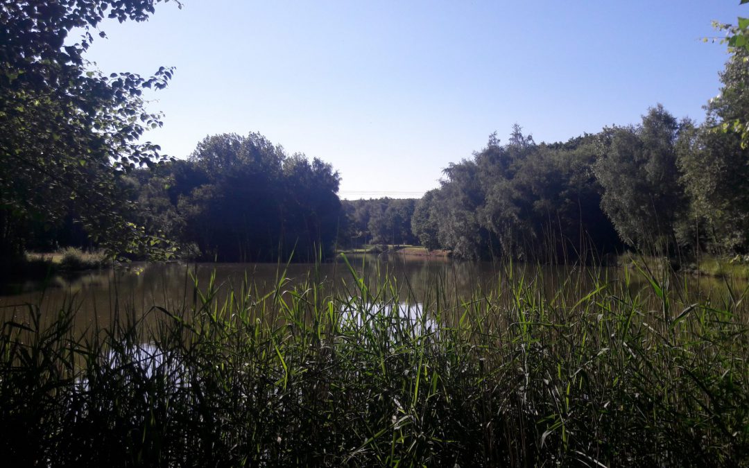 Profitez de l’été au Domaine du Bûchon