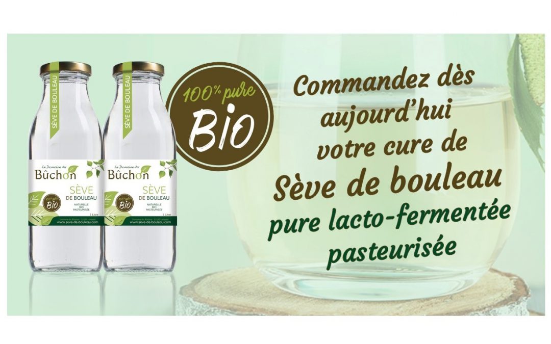 Cure de sève de bouleau lacto-fermentée pasteurisée